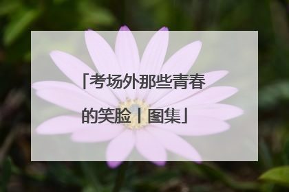 考场外那些青春的笑脸丨图集