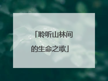 聆听山林间的生命之歌