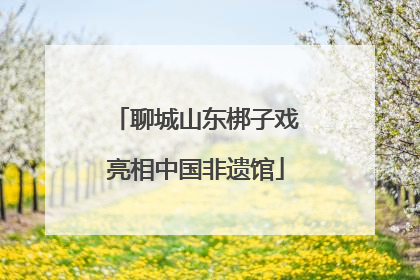 聊城山东梆子戏亮相中国非遗馆