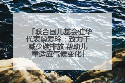 联合国儿基会驻华代表桑爱玲：致力于减少碳排放 帮助儿童适应气候变化