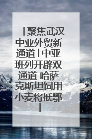 聚焦武汉中亚外贸新通道│中亚班列开辟双通道 哈萨克斯坦饲用小麦将抵鄂