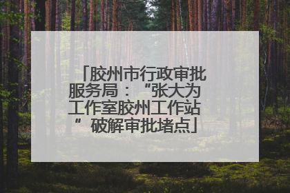 胶州市行政审批服务局：“张大为工作室胶州工作站”破解审批堵点