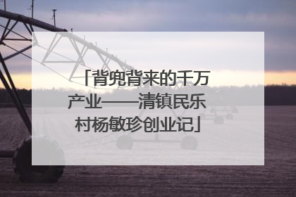 背兜背来的千万产业——清镇民乐村杨敏珍创业记