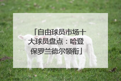 自由球员市场十大球员盘点：哈登保罗兰德尔领衔
