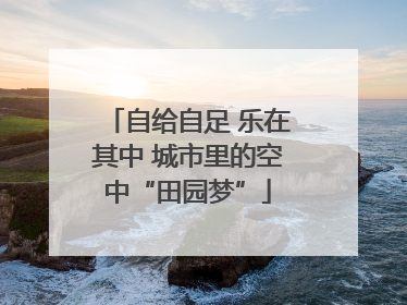 自给自足 乐在其中 城市里的空中“田园梦”