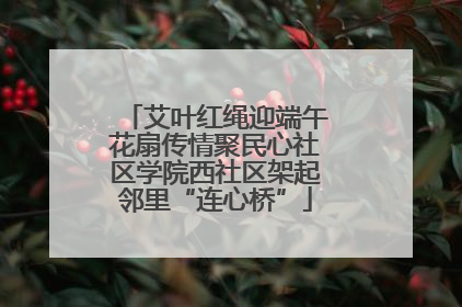 艾叶红绳迎端午花扇传情聚民心社区学院西社区架起邻里“连心桥”