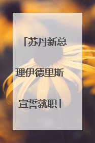 苏丹新总理伊德里斯宣誓就职