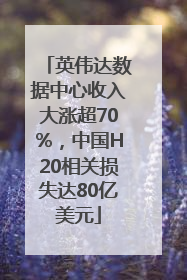 英伟达数据中心收入大涨超70%，中国H20相关损失达80亿美元
