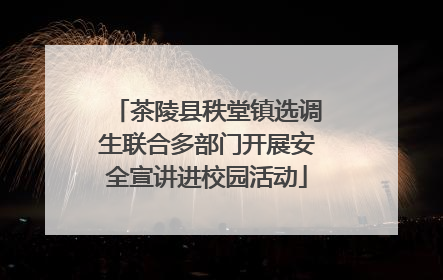 茶陵县秩堂镇选调生联合多部门开展安全宣讲进校园活动