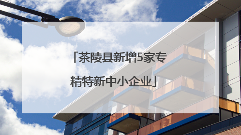 茶陵县新增5家专精特新中小企业