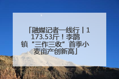 融媒记者一线行丨1173.53斤！李鹊镇“三作三收”首季小麦亩产创新高