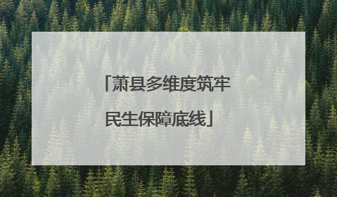 萧县多维度筑牢民生保障底线