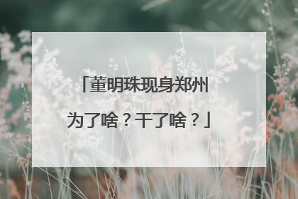 董明珠现身郑州 为了啥？干了啥？