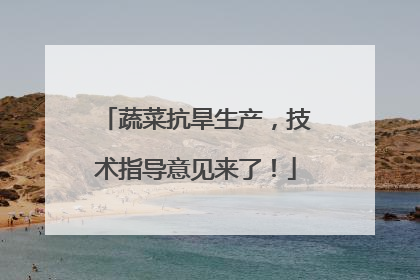蔬菜抗旱生产，技术指导意见来了！