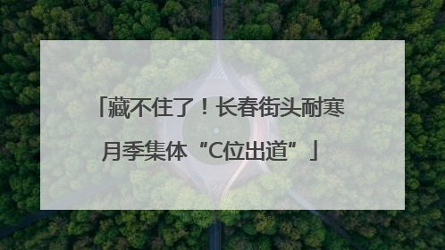 藏不住了！长春街头耐寒月季集体“C位出道”