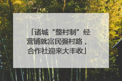 诸城“整村制”经营铺就富民强村路，合作社迎来大丰收