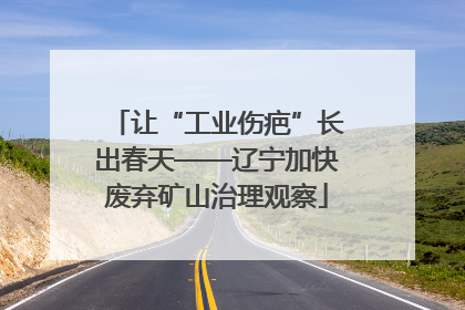让“工业伤疤”长出春天——辽宁加快废弃矿山治理观察