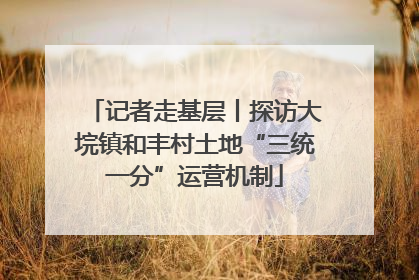 记者走基层丨探访大垸镇和丰村土地“三统一分”运营机制
