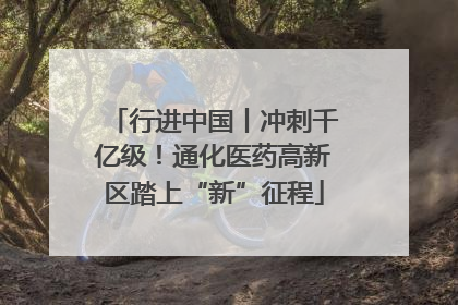 行进中国丨冲刺千亿级！通化医药高新区踏上“新”征程