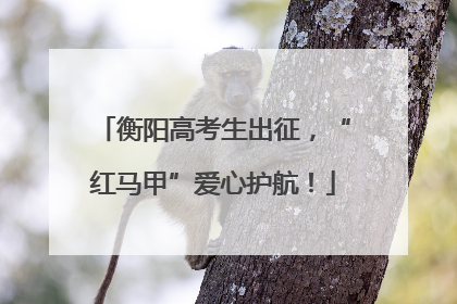衡阳高考生出征，“红马甲”爱心护航！