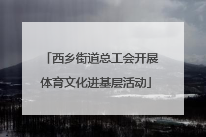 西乡街道总工会开展体育文化进基层活动