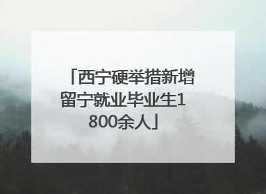 西宁硬举措新增留宁就业毕业生1800余人