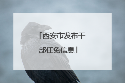 西安市发布干部任免信息