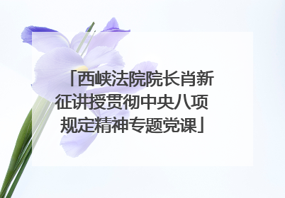 西峡法院院长肖新征讲授贯彻中央八项规定精神专题党课
