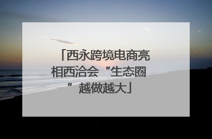 西永跨境电商亮相西洽会“生态圈”越做越大