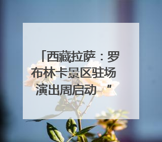 西藏拉萨：罗布林卡景区驻场演出周启动 “家门口”享文化盛宴