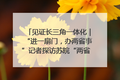 见证长三角一体化｜“进一扇门，办两省事”记者探访苏皖“两省一街”警务室