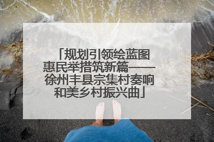 规划引领绘蓝图 惠民举措筑新篇——徐州丰县宗集村奏响和美乡村振兴曲