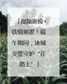 视频巡检+铁骑巡逻！端午期间，冰城交警守护“在路上”