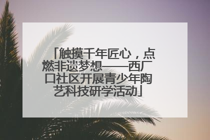 触摸千年匠心，点燃非遗梦想——西厂口社区开展青少年陶艺科技研学活动