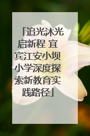 追光沐光启新程 宜宾江安小坝小学深度探索新教育实践路径