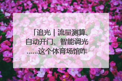 追光｜流量测算、自动开门、智能调光……这个体育场馆咋这么先进？