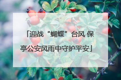 迎战“蝴蝶”台风 保亭公安风雨中守护平安