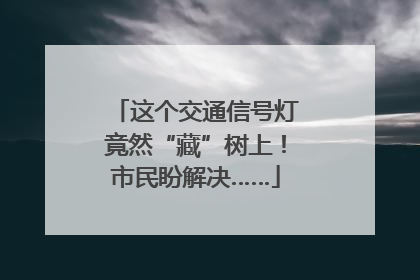 这个交通信号灯竟然“藏”树上！市民盼解决……