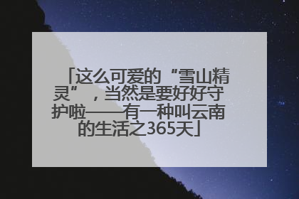 这么可爱的“雪山精灵”，当然是要好好守护啦——有一种叫云南的生活之365天
