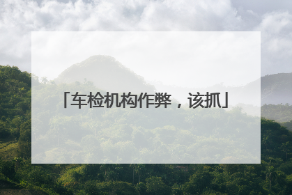 车检机构作弊，该抓