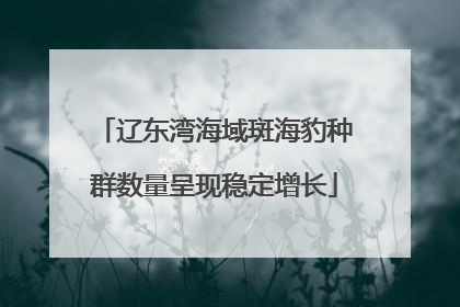 辽东湾海域斑海豹种群数量呈现稳定增长