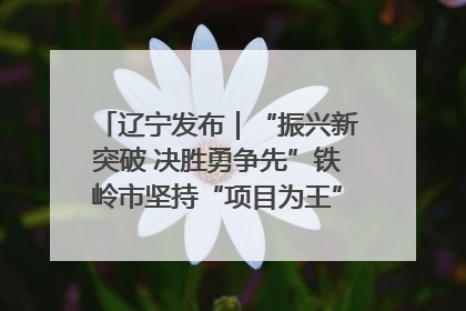 辽宁发布｜“振兴新突破 决胜勇争先”铁岭市坚持“项目为王”推进经济高质量发展