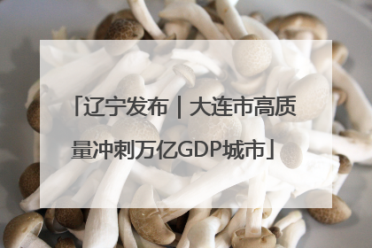 辽宁发布｜大连市高质量冲刺万亿GDP城市