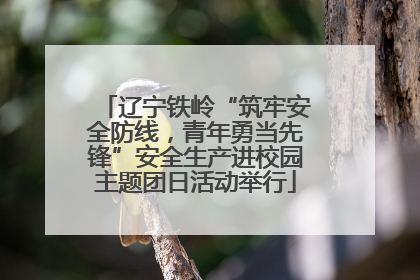 辽宁铁岭“筑牢安全防线，青年勇当先锋”安全生产进校园主题团日活动举行
