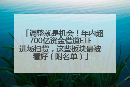 调整就是机会！年内超700亿资金借道ETF进场扫货，这些板块最被看好（附名单）
