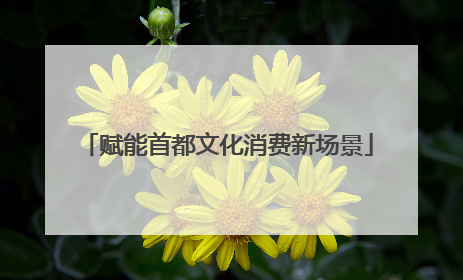 赋能首都文化消费新场景