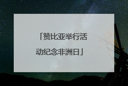 赞比亚举行活动纪念非洲日