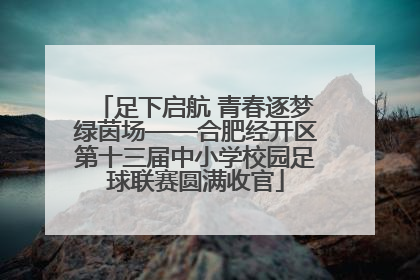 足下启航 青春逐梦绿茵场——合肥经开区第十三届中小学校园足球联赛圆满收官