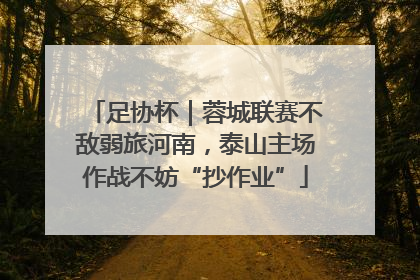 足协杯｜蓉城联赛不敌弱旅河南，泰山主场作战不妨“抄作业”