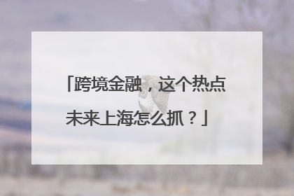 跨境金融，这个热点未来上海怎么抓？